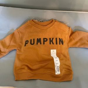 little co pumpkin sweatshirt
